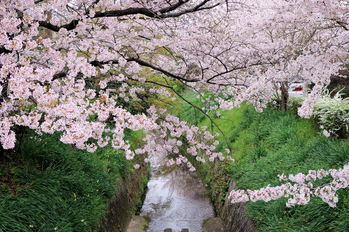 f:id:e-sakedot:20220411201545j:plain
