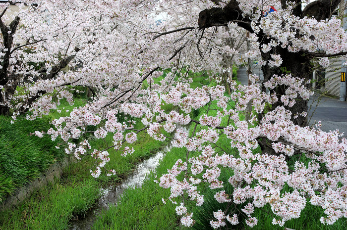 f:id:e-sakedot:20220411201549j:plain