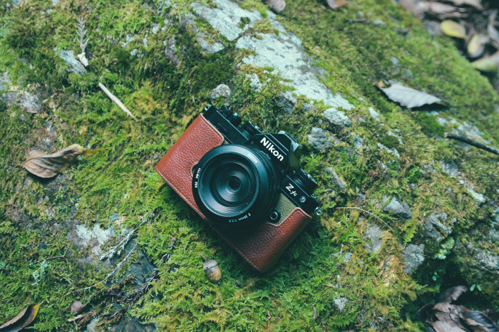Nikon Zfcが修理を終えて帰ってきた。2024年 秋 - 京都をゆく。