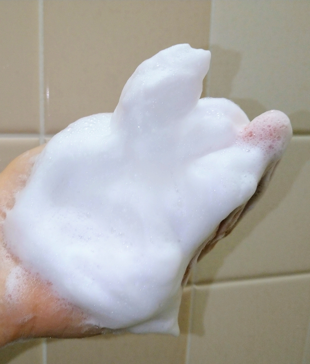 f:id:e-tonbo:20211128181945j:plain