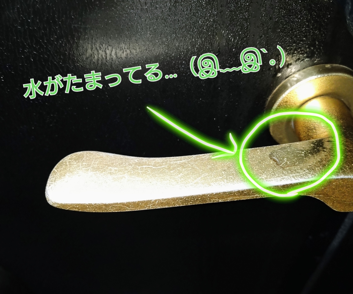 f:id:e-tonbo:20220210214245j:plain