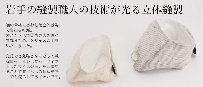 f:id:e-vis:20150623111118j:plain