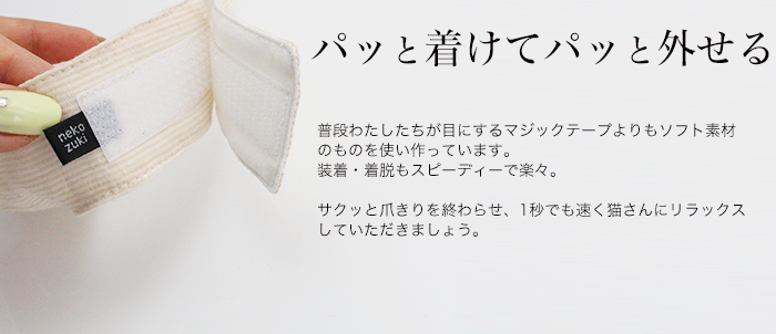 f:id:e-vis:20150623111128j:plain