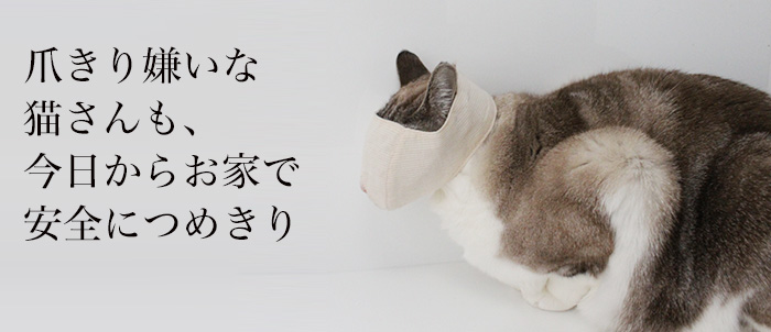 f:id:e-vis:20150623111140j:plain
