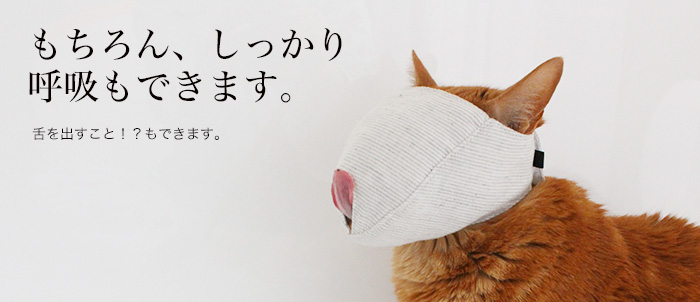 f:id:e-vis:20150623111148j:plain