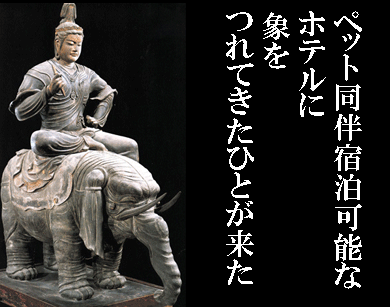 f:id:e-vis:20151208154451g:plain f:id:e-vis:20151208154451g:plain