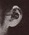 f:id:e-vis:20160113132538j:plain f:id:e-vis:20160113132538j:plain