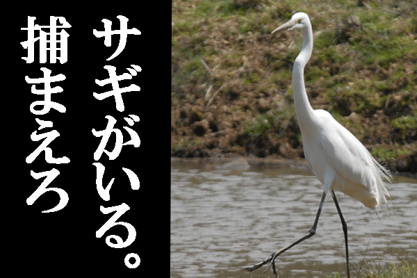 f:id:e-vis:20160702200028g:plain f:id:e-vis:20160702200028g:plain