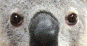 f:id:e-vis:20170201111216g:plain f:id:e-vis:20170201111216g:plain