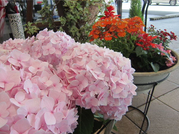 f:id:e-woodbell:20150902151437j:plain