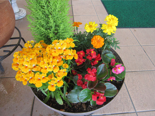 f:id:e-woodbell:20150902151440j:plain