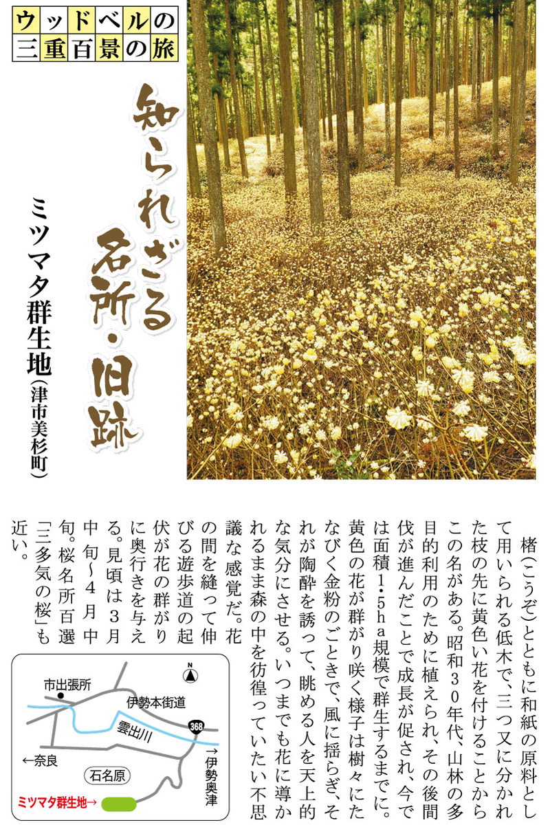 f:id:e-woodbell:20200518155404j:plain