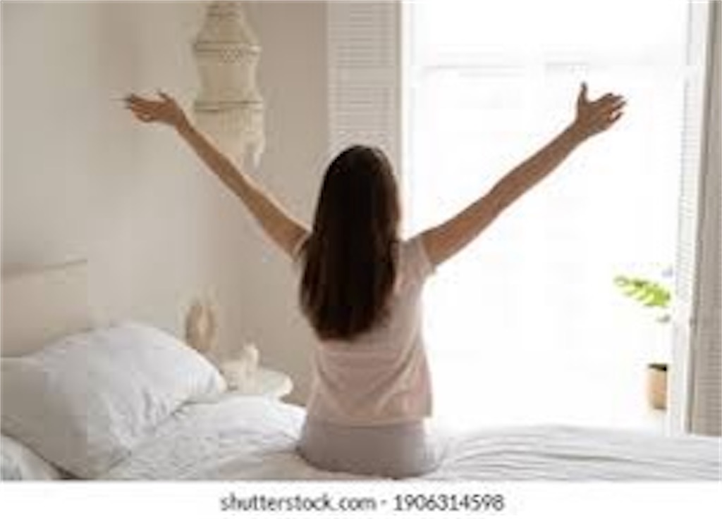 f:id:e013095:20241102205719j:image