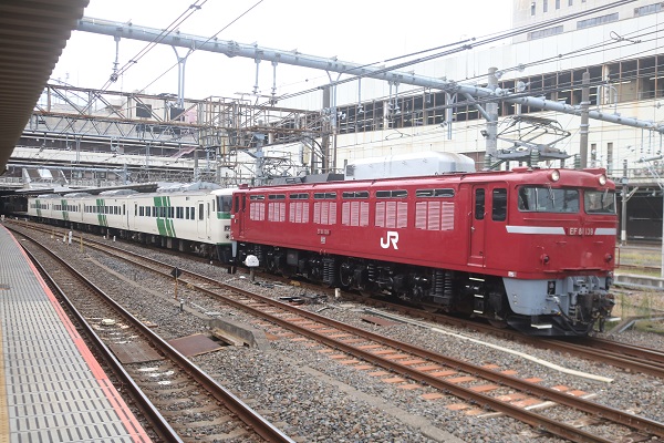 サハ＆トプナン＆10連消滅！】185系2日連続廃車回送！残りわずか