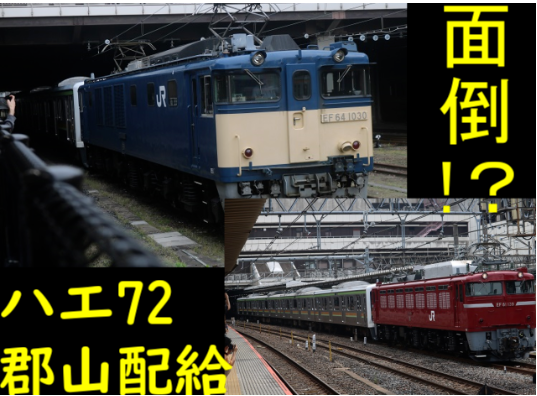 【期間限定値下げ】EF64 大宮車 スタフ差し 今週の【8560レ】EF64-1013+EF64-1022+ コキ50000形（2013/4/8