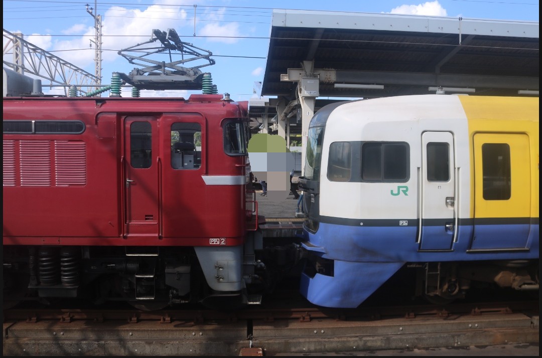 255系 特急　8両　動力車あり Is Retirement Near!? Riding JR East Japan's OLDEST Express