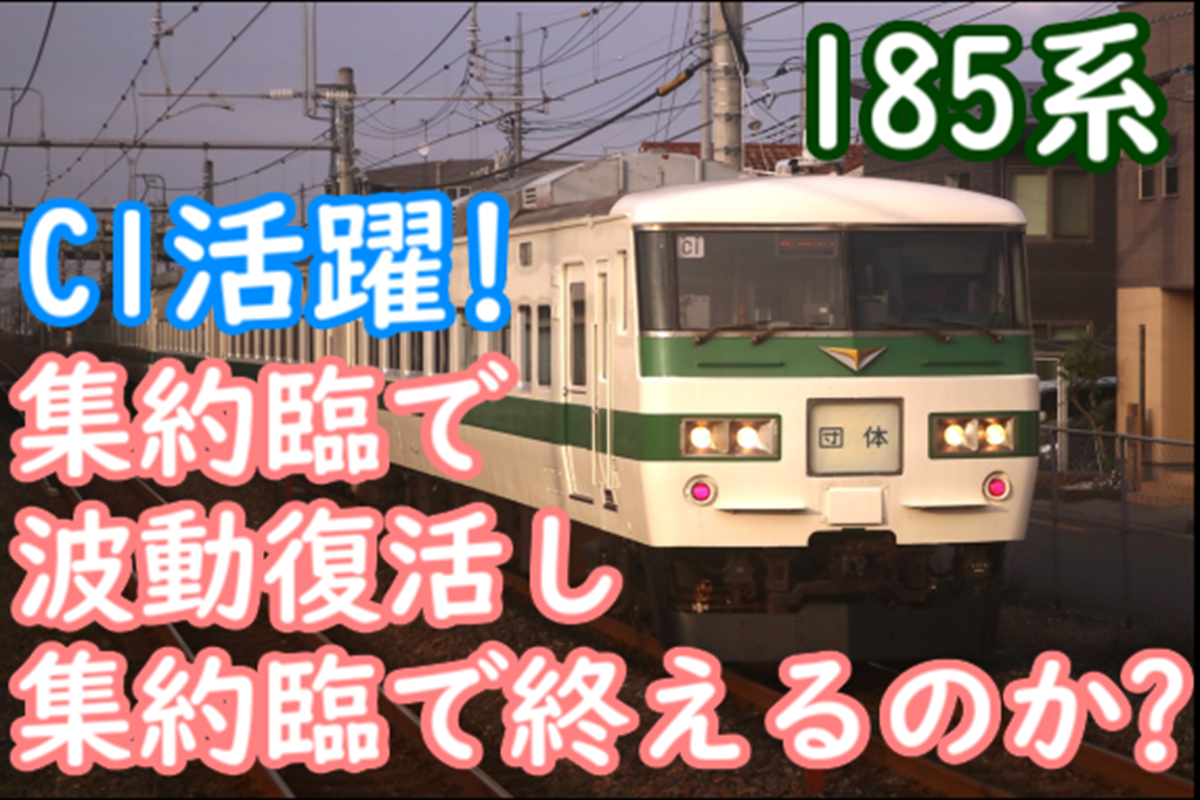 185系ツアー以外運用は集約臨で復活し集約臨に終わる？C1編成 連日運行