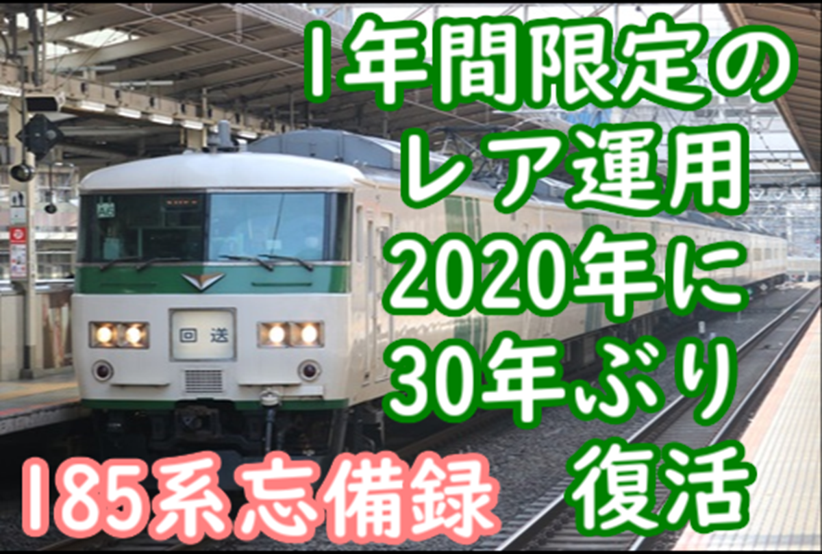 185系定期運行終了1年前にレア運用誕生 なぜ? 2020年から1年間だけ30年