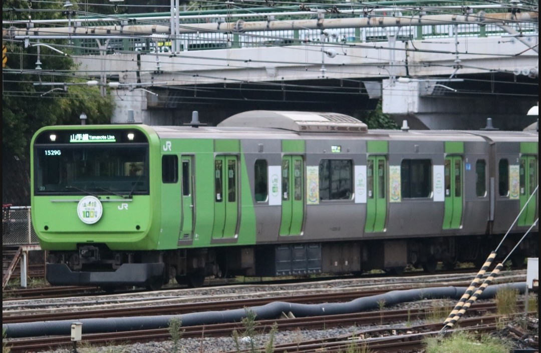 山手線に擬似103系/205系が帰ってきた！ラッピング電車を観察！ - て