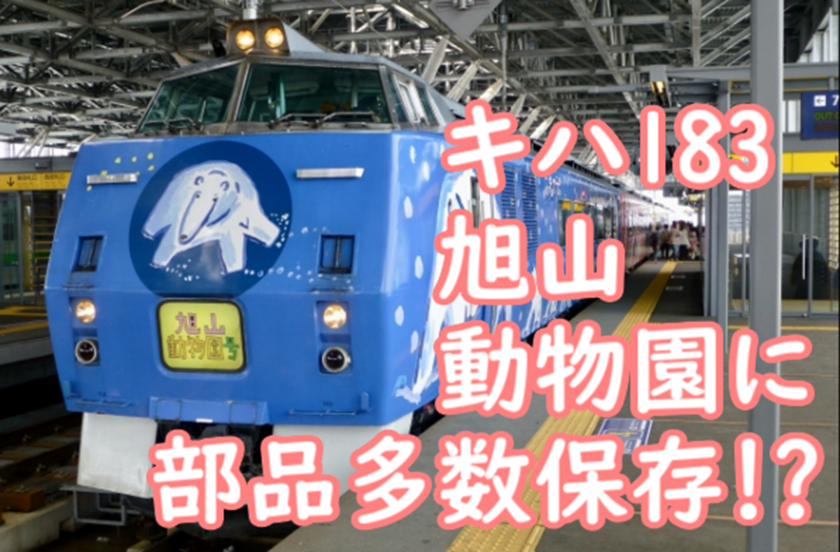 キハ182-501 検査票枠 JR北海道 キハ183系 おおぞら 北斗方向幕サボ