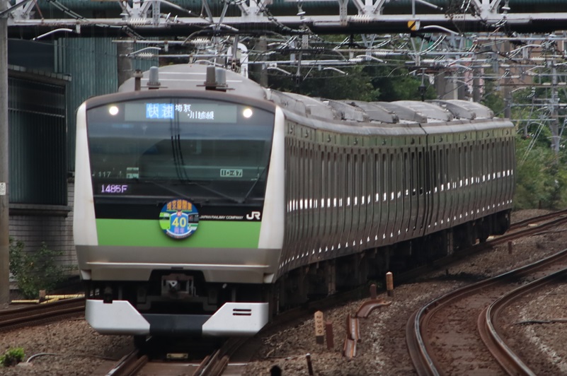 6日も延長！E233系ハエ117編成 埼京線40周年ラッピングが終わらない