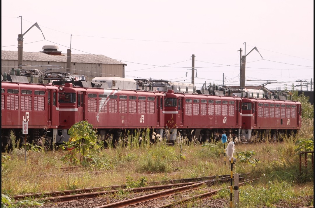 秋田総合車両ベース 一般公開 2026 展示車両紹介 - てつとおの鉄道新ブログ
