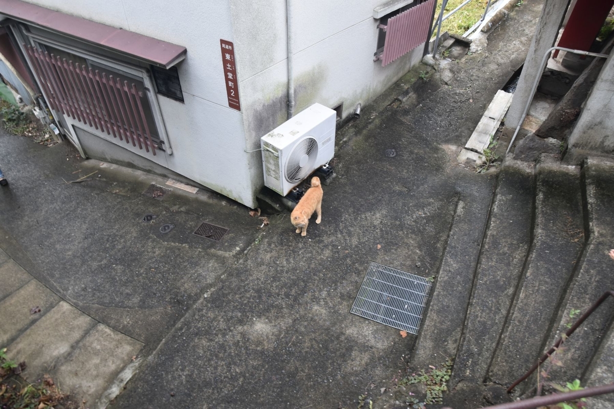 f:id:e233chuoline:20191026195122j:plain
