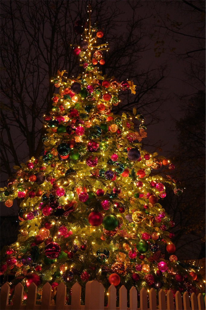 f:id:e2808m:20230117041955j:image f:id:e2808m:20230117041955j:image
