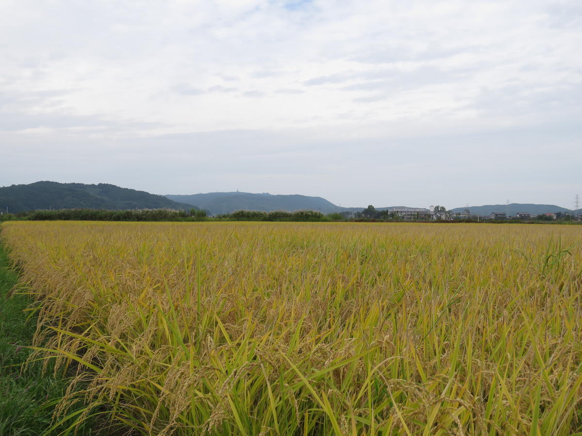 f:id:e3uematsu:20190928141820j:plain