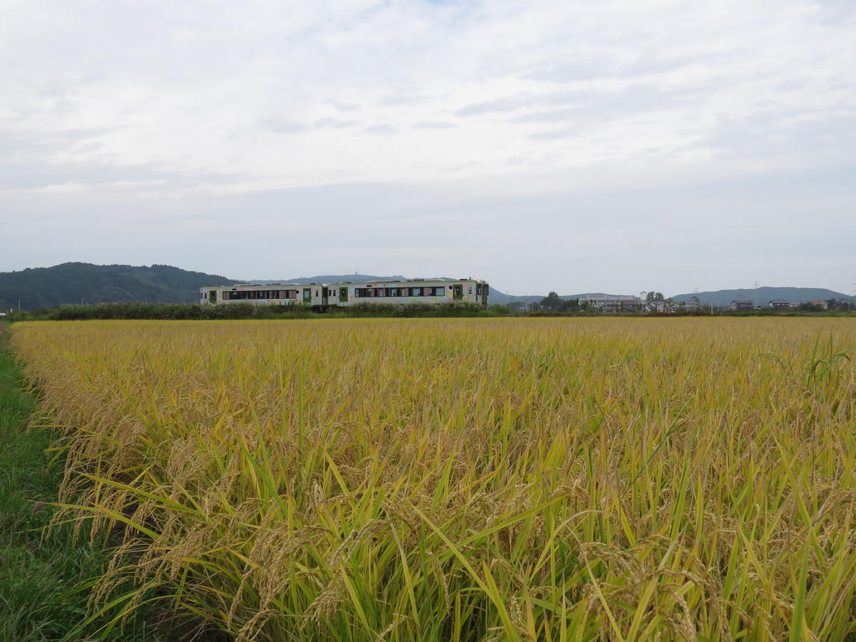 f:id:e3uematsu:20190928141825j:plain