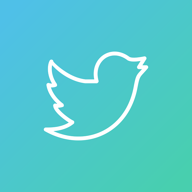 f:id:e5010010:20191211034839p:plain f:id:e5010010:20191211034839p:plain