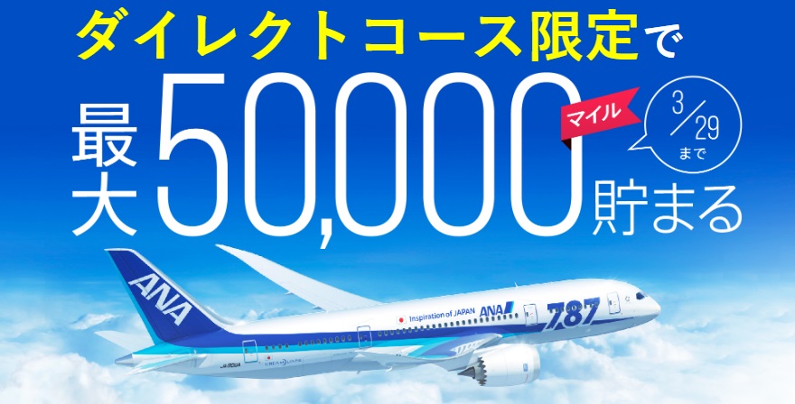 f:id:e510r4:20190222224642j:plain