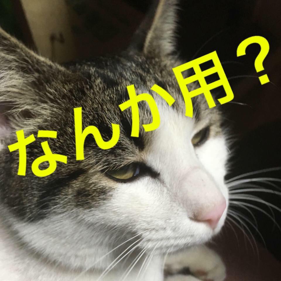 f:id:e7smilemi:20180212124335j:plain f:id:e7smilemi:20180212124335j:plain