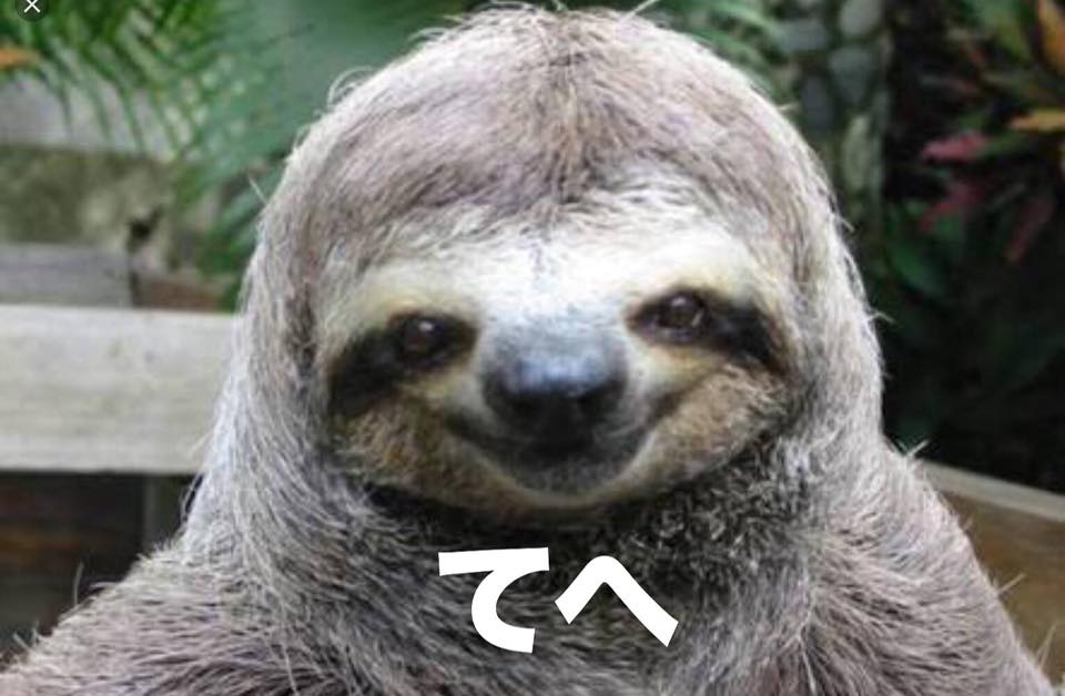 f:id:e7smilemi:20180528211248j:plain f:id:e7smilemi:20180528211248j:plain