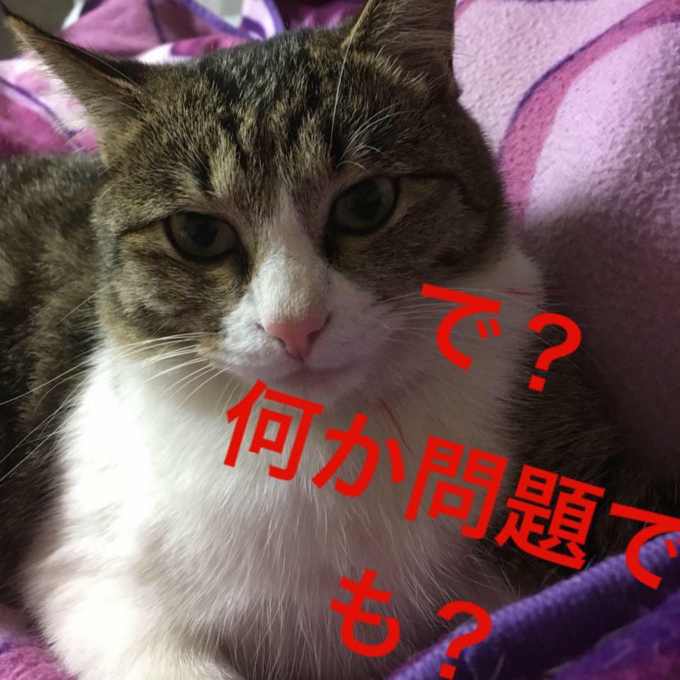 f:id:e7smilemi:20181022125217j:plain