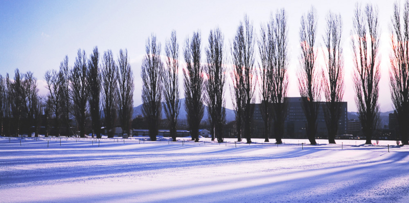 f:id:e8man1401:20080124153845j:image