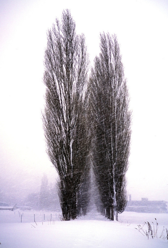 f:id:e8man1401:20080124154018j:image