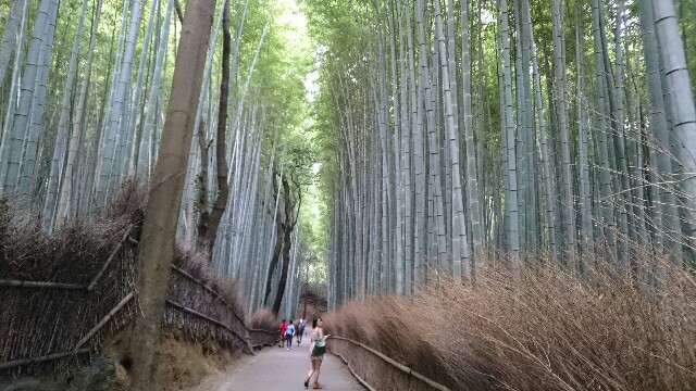 f:id:e95295tsutsuji:20170903183335j:image