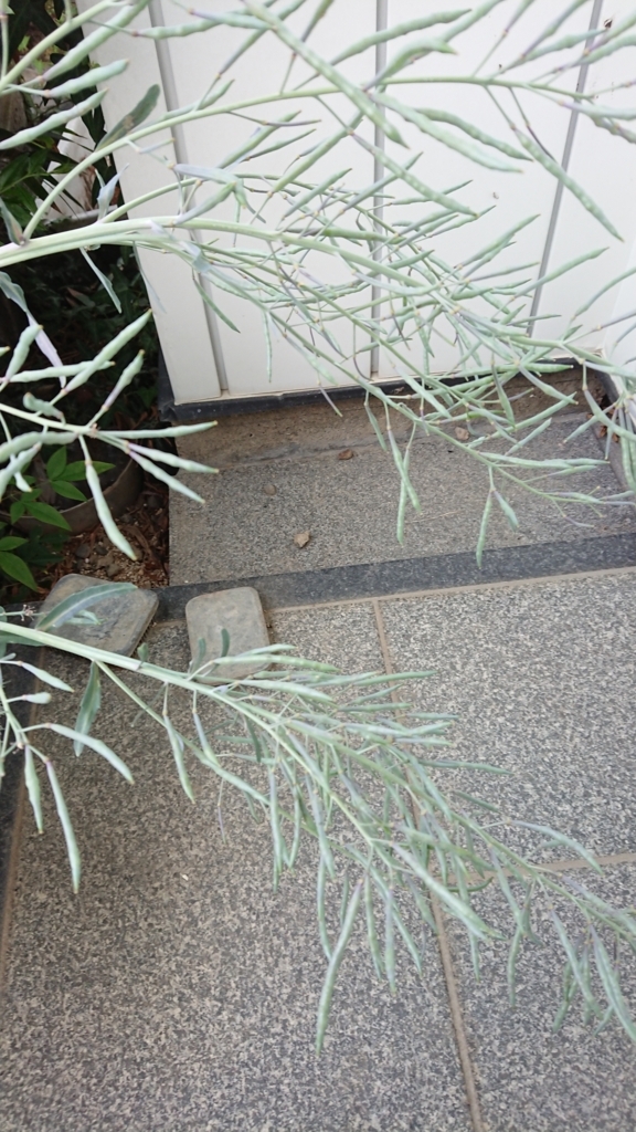 f:id:eLm:20180530224811j:plain f:id:eLm:20180530224811j:plain
