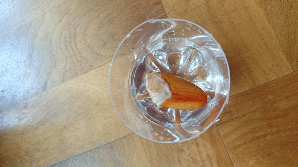 f:id:eLm:20180606175134j:plain