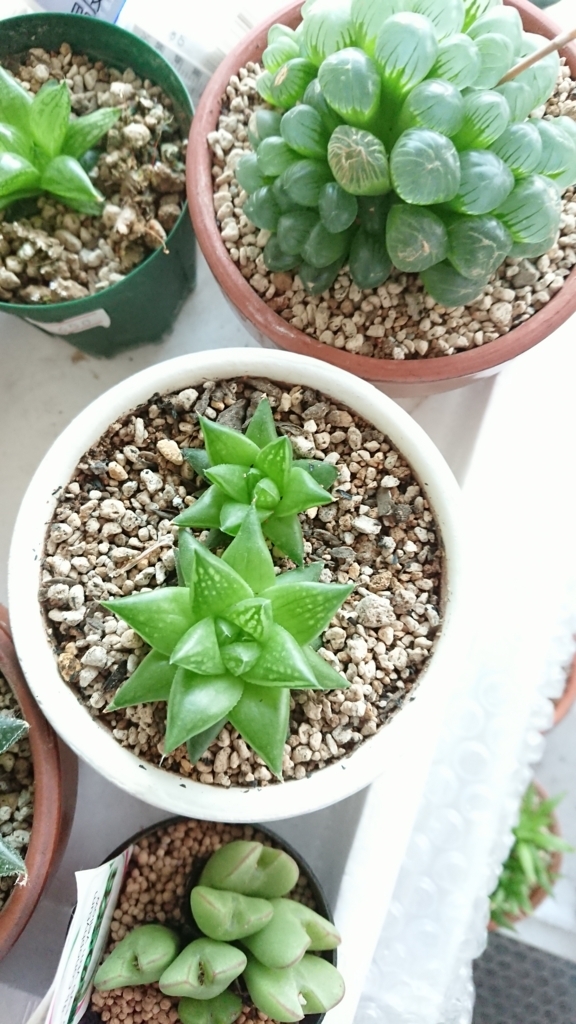 f:id:eLm:20180621205528j:plain f:id:eLm:20180621205528j:plain