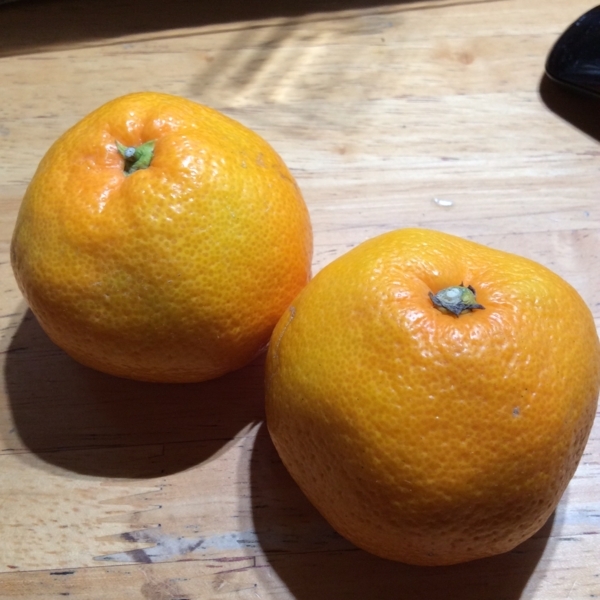 f:id:e_pyonpyon21:20171108083253j:plain