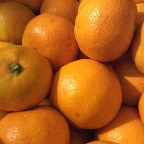 f:id:e_pyonpyon21:20171201103942j:plain