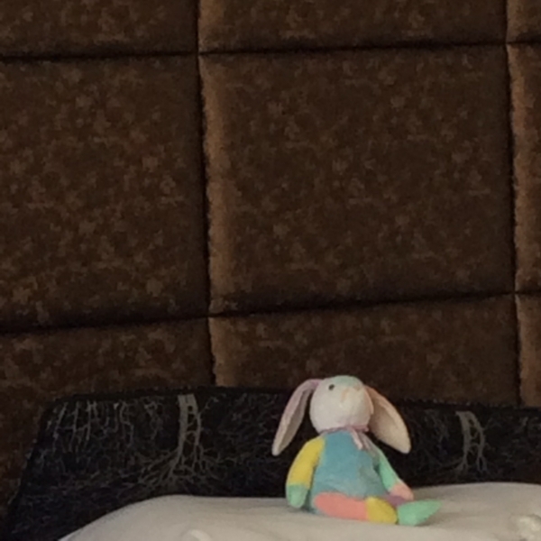 f:id:e_pyonpyon21:20180603105508j:plain f:id:e_pyonpyon21:20180603105508j:plain