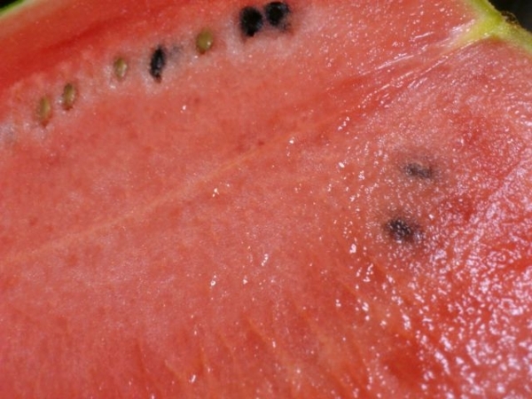 f:id:e_pyonpyon21:20180606191247j:plain f:id:e_pyonpyon21:20180606191247j:plain