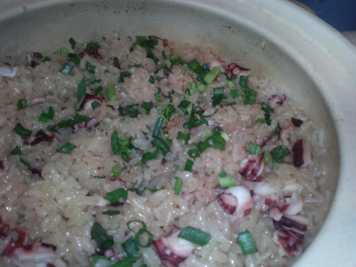 f:id:e_pyonpyon21:20190401180906j:plain f:id:e_pyonpyon21:20190401180906j:plain