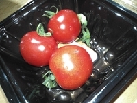 f:id:e_pyonpyon21:20190529031426j:plain f:id:e_pyonpyon21:20190529031426j:plain