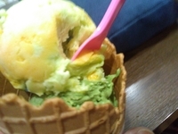 f:id:e_pyonpyon21:20190531110455j:plain f:id:e_pyonpyon21:20190531110455j:plain