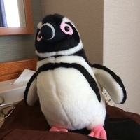 f:id:e_pyonpyon21:20190603153811j:plain f:id:e_pyonpyon21:20190603153811j:plain