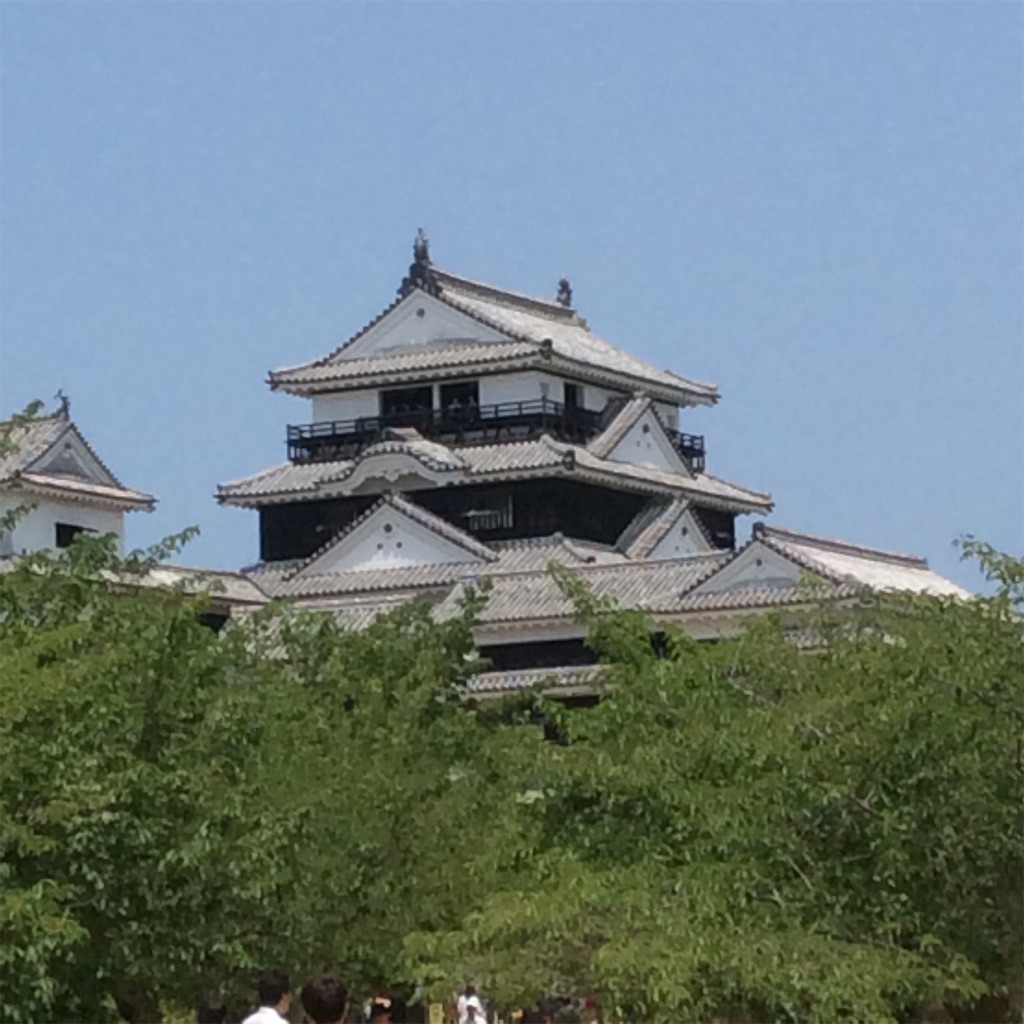 f:id:e_pyonpyon21:20190607080218j:image f:id:e_pyonpyon21:20190607080218j:image